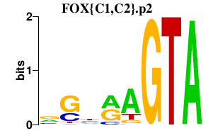 logo of FOX{C1,C2}.p2